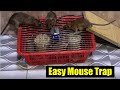 Best Mouse Trap 2022 | Quick Easy Mouse Trap | How to Catch a Mouse