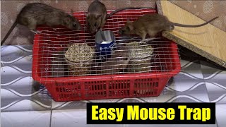 Best Mouse Trap 2022 | Quick Easy Mouse Trap | How to Catch a Mouse