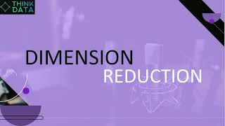 DIMENSION REDUCTION