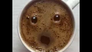 Kopi hidup
