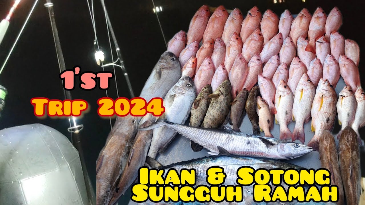 MERIAH HASIL DI TANJUNG LOMPAT .. TENGGIRI MAKAN MALAM ...