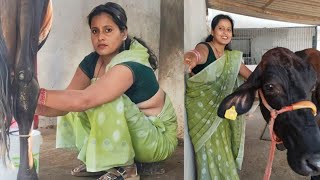 Vlog 29 We Will Do Something Exciting In Todays Vlog So Much Milk Came Out Of The Cow.