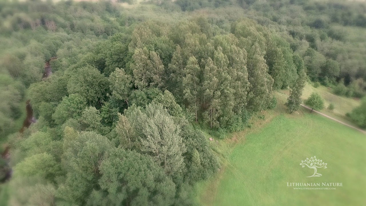 Gandingos piliakalnio su papiliu ir gyvenviete, vad  Gondingos pilimi, piliakalnis