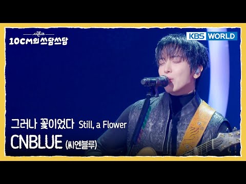 CNBLUE 씨엔블루 - Still, a Flower 그러나 꽃이었다 (The Seasons) | KBS WORLD TV 260123
