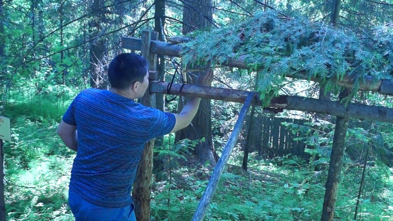 охотничья тропа 5. охотничьи тропы. охотничья тропа. охотничья тропа геншин. тропа охотника пужея.