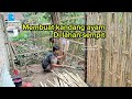 membuat kandang ayam di lahan yg sempit | kokokpetok71
