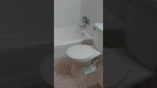 4377 Chippewa C 63116 $500/month