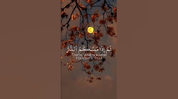 [سورة_النحل ]القارئ عبدالرحمن مسعد