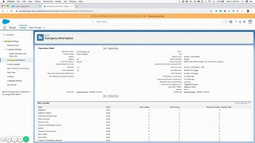 What type of Salesforce Licensing do I have?