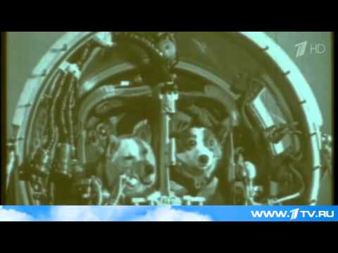 55 лет полету в космос Белки и Стрелки!