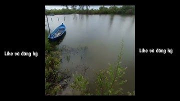 Câu cá chẽm trong vuông tôm công nghiệp bỏ lâu năm | Câu cá chẽm lâu năm/