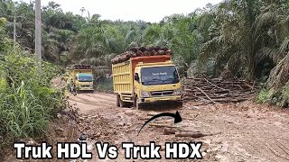 Truk HDX Vs Truk HDL Ini lah perbedaan nya di kubangan lumpur.
