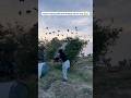 Farmer amazing hunting for wild birds 🦅😱. #farmer #hunting #wildlife #asmr #ytshorts