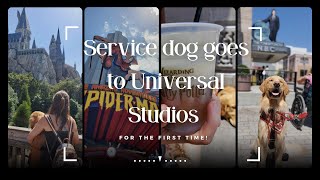 Service dog goes to Universal Studios for the first time! | Universal Studios mini series part 4!
