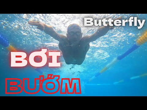 Video Bơi bướm ★ Butterfly - youtube