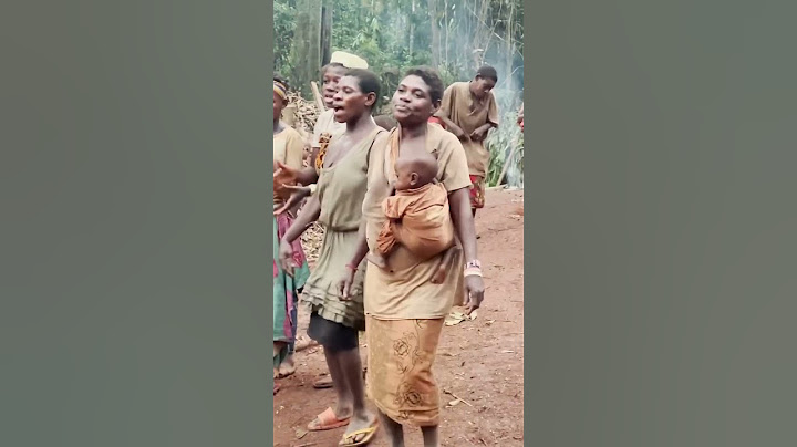 Documentando en África! Vivir con los Pigmeos Baka!
