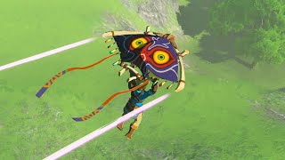 Every TRUE Zelda Fan will do that on TotK release...🌱