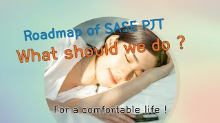 [ CATO PJT ] What should be the roadmap for the success of the SASE project?