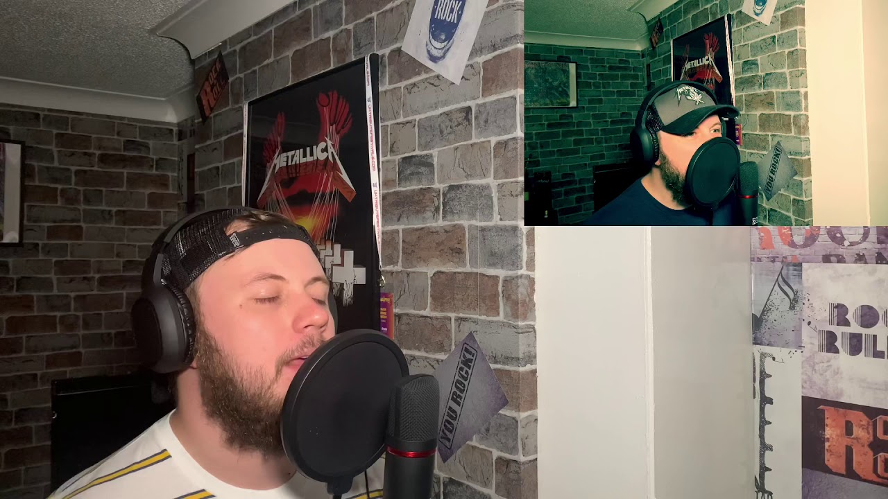 Metallica - Disposable Heroes (vocal cover)