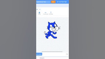 The Scratch Bitmap Editor Secret | STEM MC #shorts