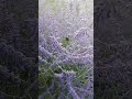 Хорошего настроения 💃💥💃