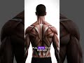 This One Fix Will Blow Up Your Back
