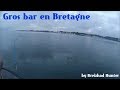 Pche du bar en bateau  mon record 