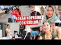 KÖPEK AĞLADIKÇA KIZIM AĞLADI, SULTANAHMET CAMİİ'YE GİRDİK, BAVULLARI TOPLUYORUZ | İSTANBUL VLOG #6