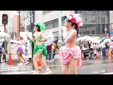 【サンバ】雨の中、懸命に踊る神戸サンバチーム #神戸まつり