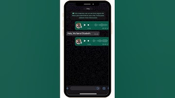 Build a personal Generative AI WhatsApp assistant, with multi-language skills  - Voice Notes #llm