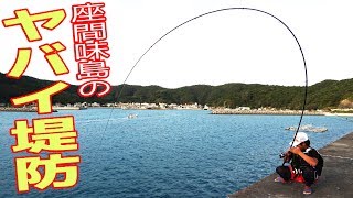 ヤバイ堤防で大物を狙う　座間味島 #1