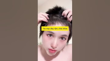 Dầu gội thảo dược kích mọc tóc DHT