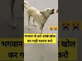 Dog vastutips remidies bhakti huminity shivshivay