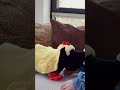 Siepie en Takkie in hun nieuwe paaspakkie! Kunnen jullie raden welk pakkie ze volgende maand aan