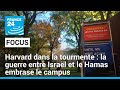 Harvard dans la tourmente  la guerre entre isral et le hamas embrase le campus  france 24