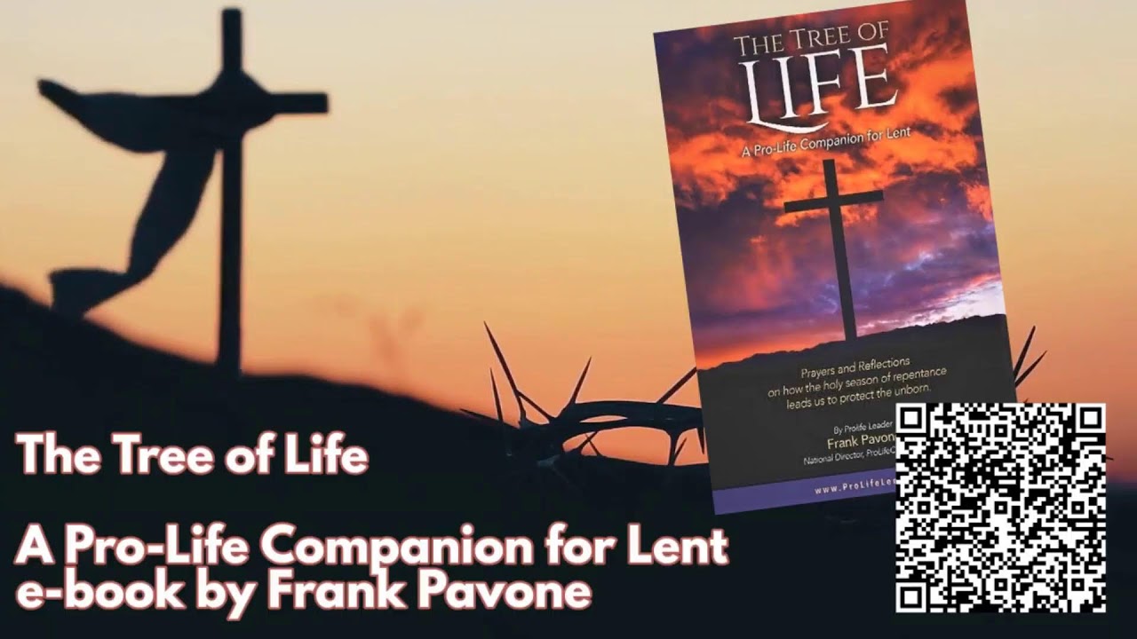 Our daily bible reading and reflection journey through lent youtube
