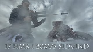 17 HMR i 20m/s sidvind, hur påverkas kulbanan?