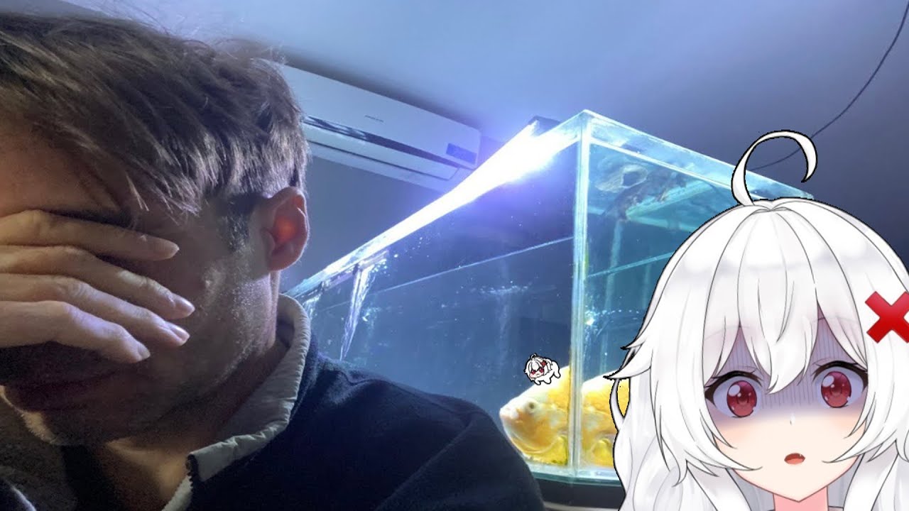 ERISPHERIA reacciona "EL DOLOR DE CONVIVIR CON UN PSICOP*TA" by Los Vlogs de Dross