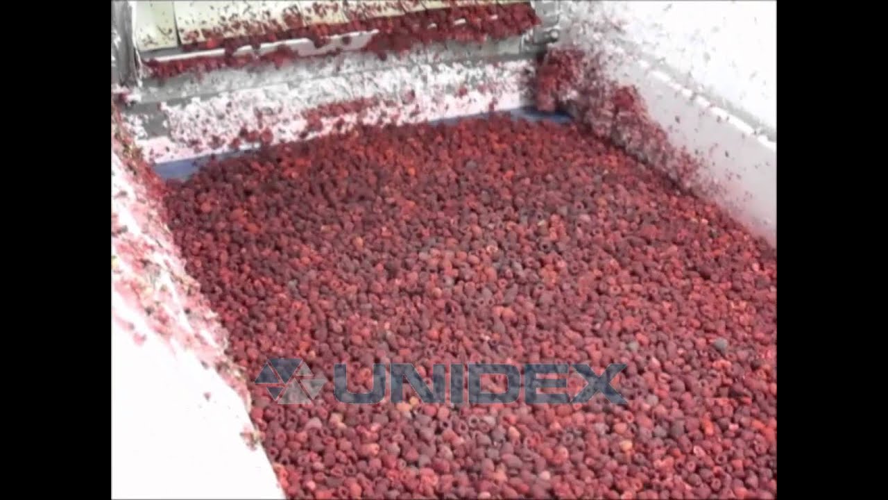 Unidex IQF Tunnel freezing raspberries, Tunel zamrażalniczy Unidex zamrażanie maliny