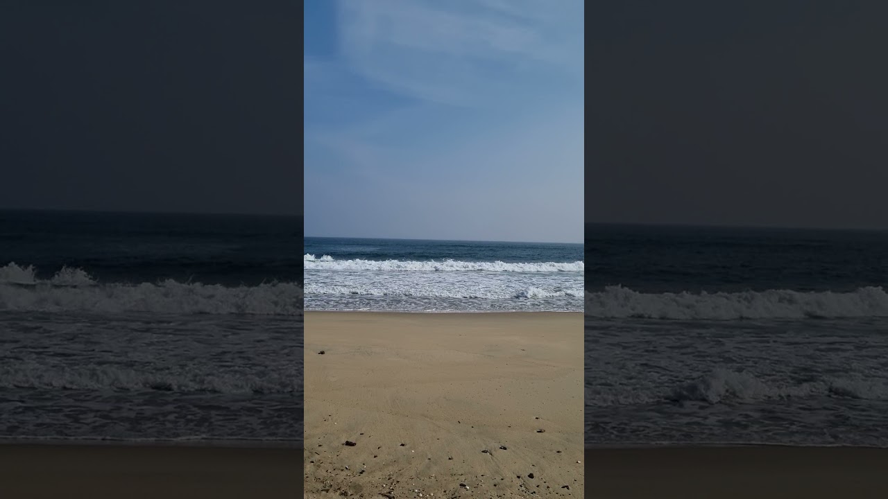 강릉 서퍼들의 성지 금진해변 겨울파도
