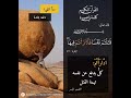 ما معنى فادارءتم في كتاب الله كلمة في صورة القرآن الكريم الحصري معلومات قل رب زدني علما
