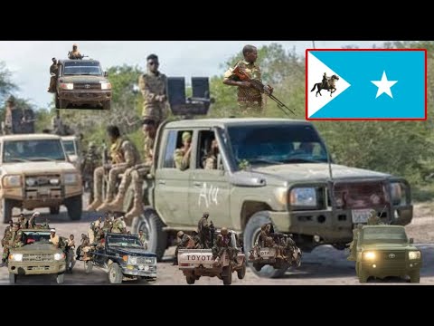 DEG DEG Xiisad Ka Taagan Ceerigaabo SSC Dagaalka Sool Duqeyn Culus Oo Ka Socta Sh Dhexe Khilfka 