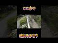 【猫動画】猫ちゃん「ここまで来れるかにゃ？」　cat「Can you make it this far?」　#猫 #地域猫　#shorts