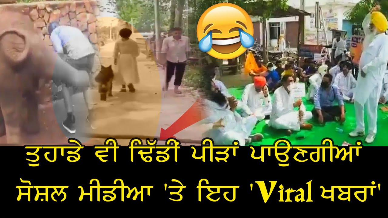 ਸ਼ਰਤ ਲਗਾ ਲਓ - ਇਹ `Viral ਖਬਰਾਂ` ਸੁਣ ਕੇ ਤੁਸੀਂ ਵੀ ਹੋ ਜਾਵੋਗੇ ਲੋਟ ਪੋਟ