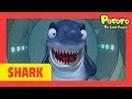 Shark Song l Let's do some Bara Bam with Sharks | Shark Family are attacking Pororo!