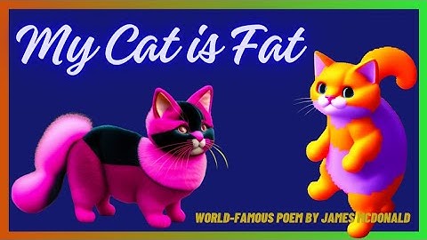 "My Cat is Fat" Song | Chubby Cat Song | World-famous children song @Kidsjourney