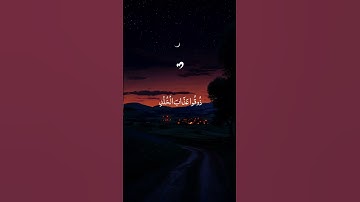 أكتب شيء تؤجر عليه🌿❤️☺️#قرآن#quran#المصحف#سورة#قارئ#شيخ#تلاوة#تدبر#ترتيل#راحة_نفسية#الله#آيه#اكسبلور