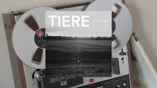 Devin Gademan - Schweine Official Audio