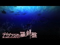 海が見える(デイグラシアの羅針盤エンディングテーマ)