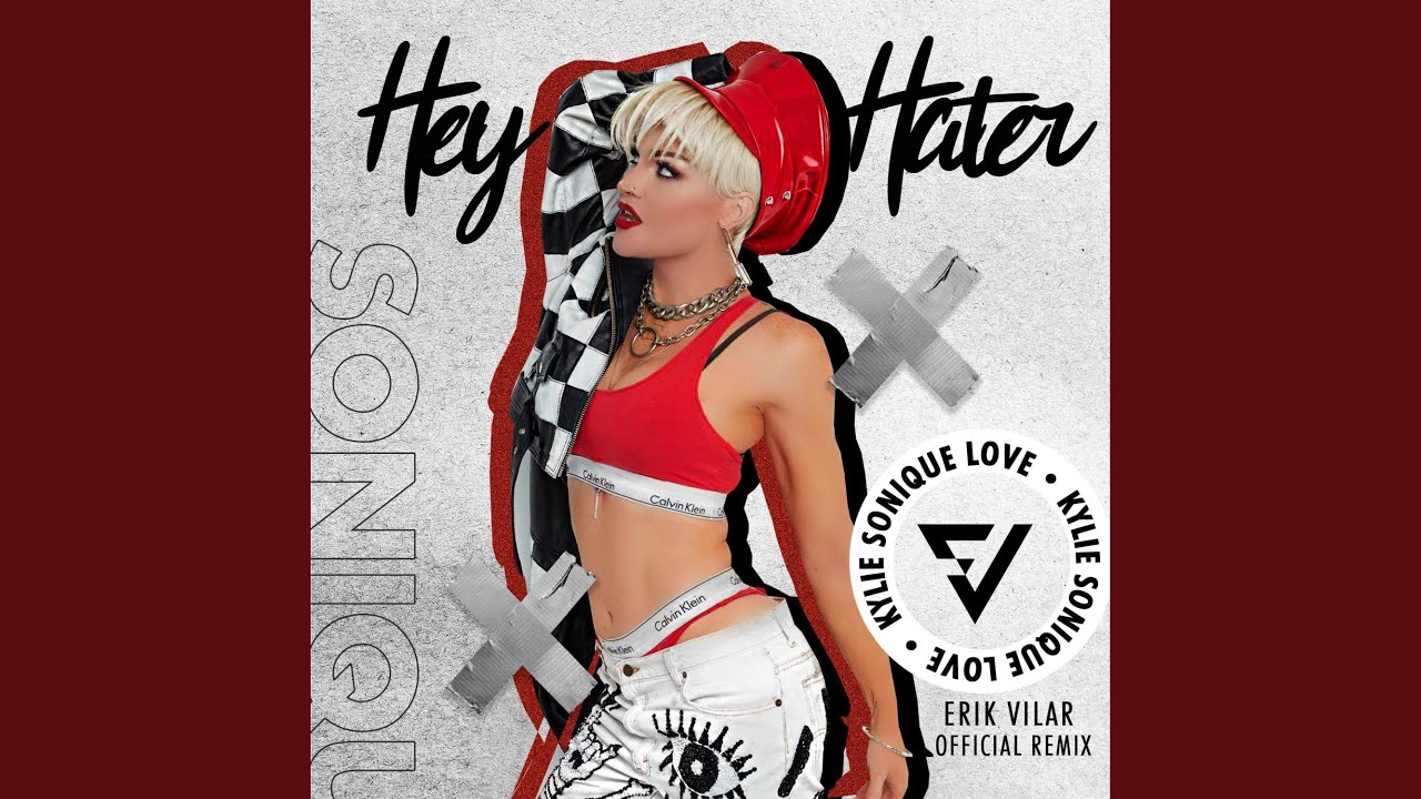 Hey Hater (feat. Erik Vilar) (Remix Radio Edit)
